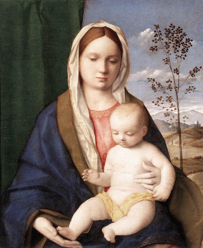 BELLINI, Giovanni Madonna and Child mmmnh Germany oil painting art